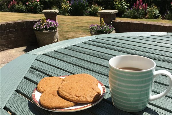 Morning Coffee on the patio?