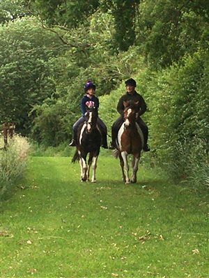 Hill House Farm Cheshire welcome Horses
