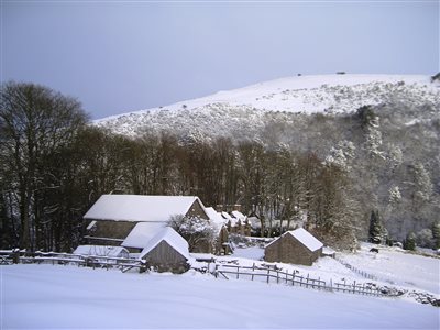 Swainsley Farm