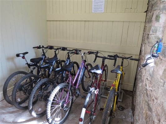 Adult bikes for guests use