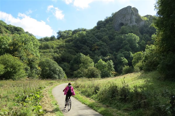 Cycle the Manifold Valley