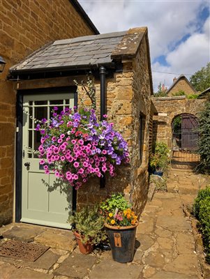 hanging basket