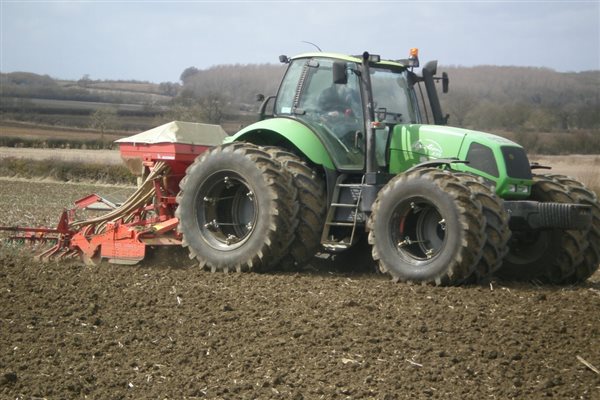 See the autumn cultivations in november