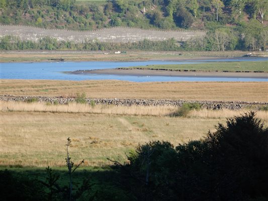 view across Estuary