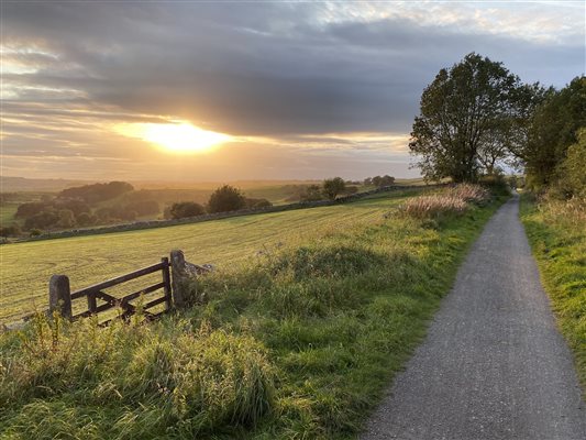 sunset on trail 