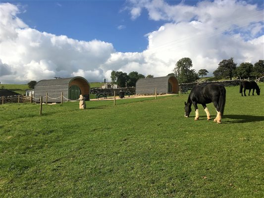 glamping pod with horses