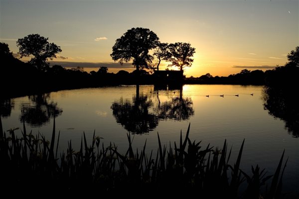 Goose Green Farm Lakes Silhouette