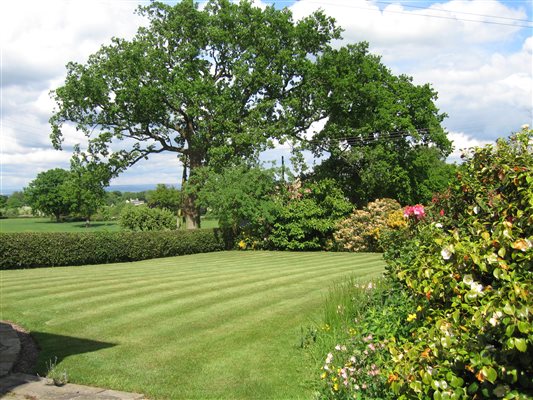 Goose Green Farmhouse Front Garden 