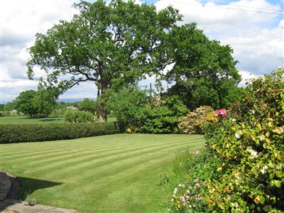 Goose Green Farm