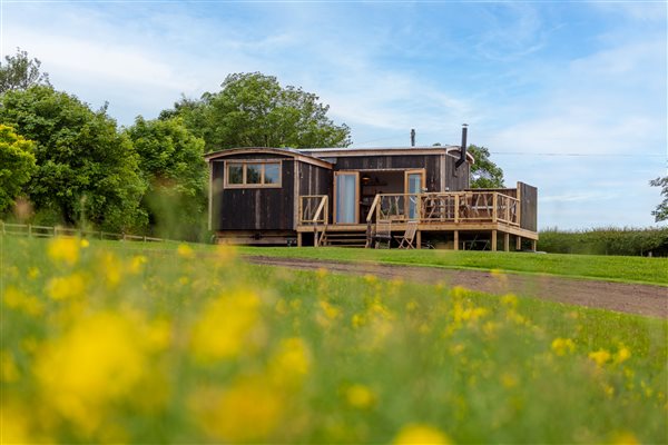 Bilton Bothy