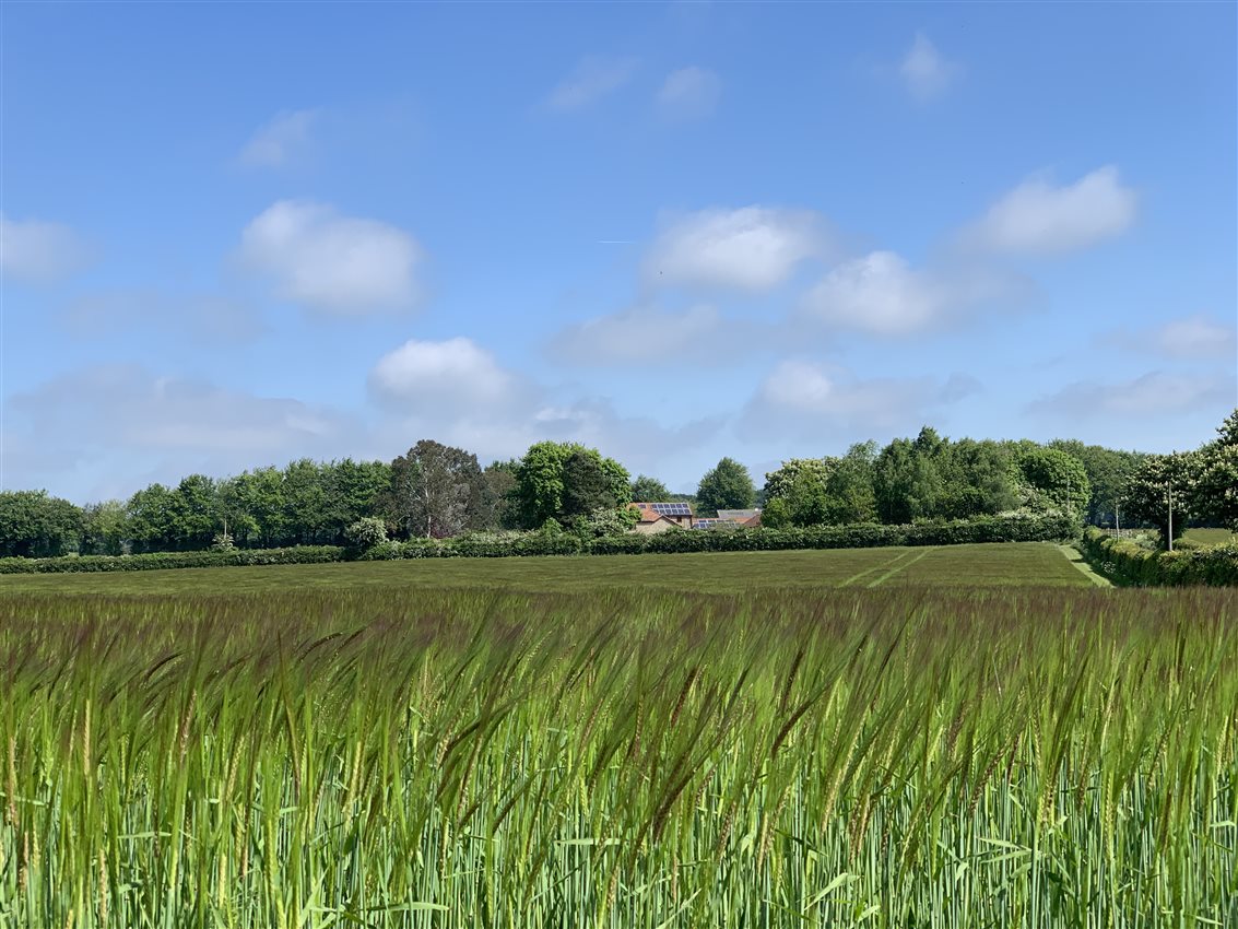 Wood Farm Cottages Farm Stay