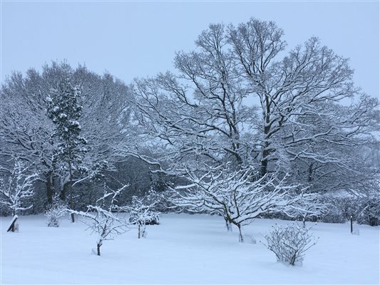 farm stay winter