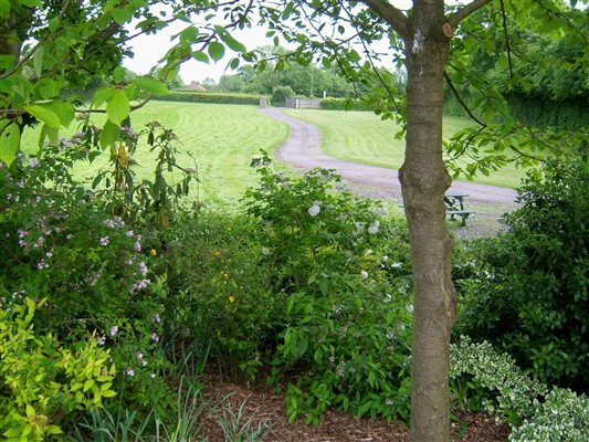 alt text driveway to the house and cottage