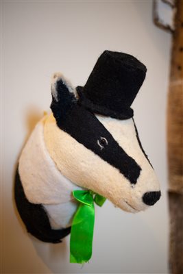 Mr Badger