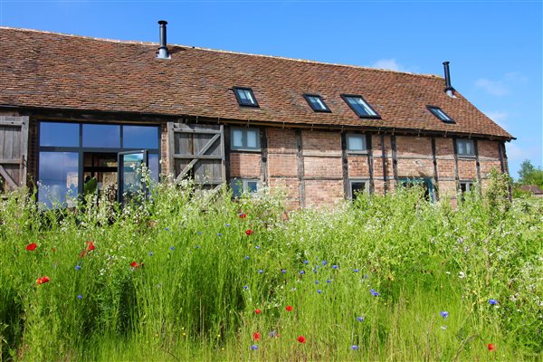 The Byre Wild Meadow