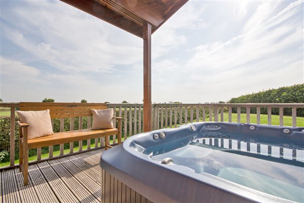 jacuzzi log cabin