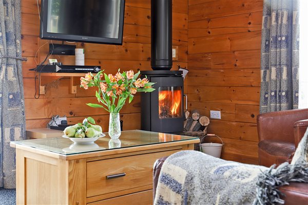 log cabin with woodburner