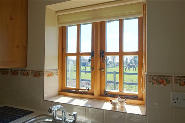 View from Kitchen  - Badger Cottage - New Forest Holiday Cottages