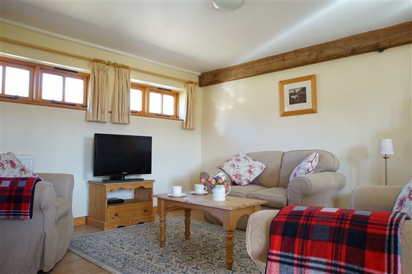 Sitting-area - Fallow Cottage - New Forest Holiday Cottages