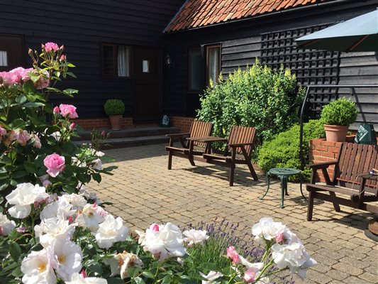 Courtyard roses