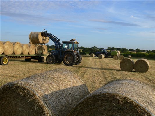 Loading hay