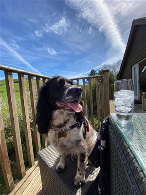 Scrumpy with G&T with a view on The Rookery Balcony