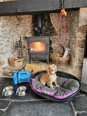 Farmhouse - Dog Friendly house