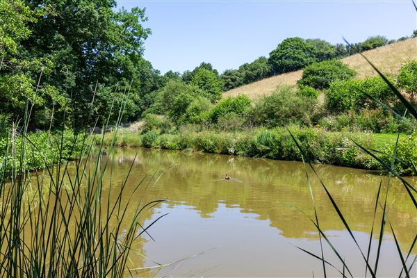 fishing lake