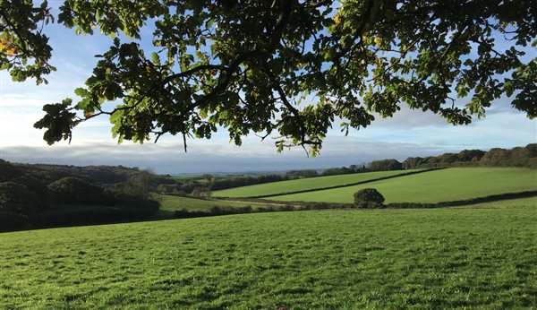 Far end of farm view across fields