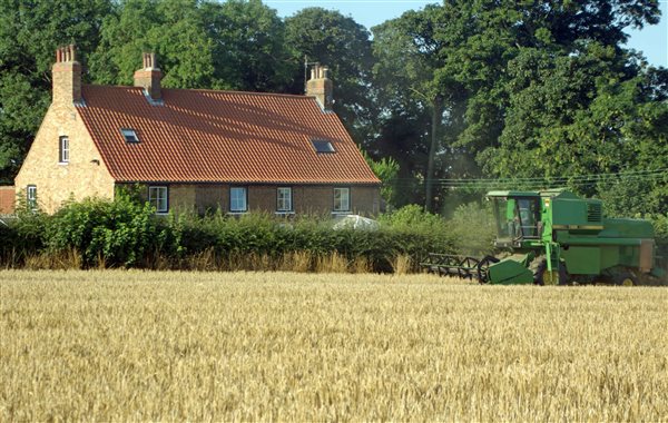 harvest