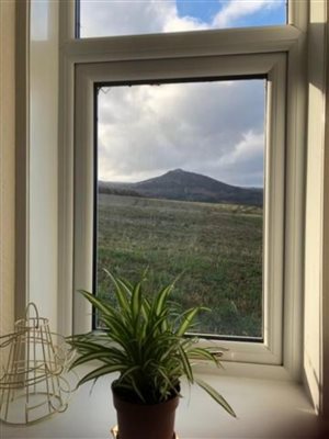 View from kitchen window