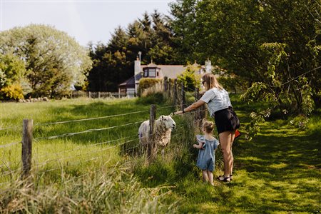 Cowden Farm Holidays
