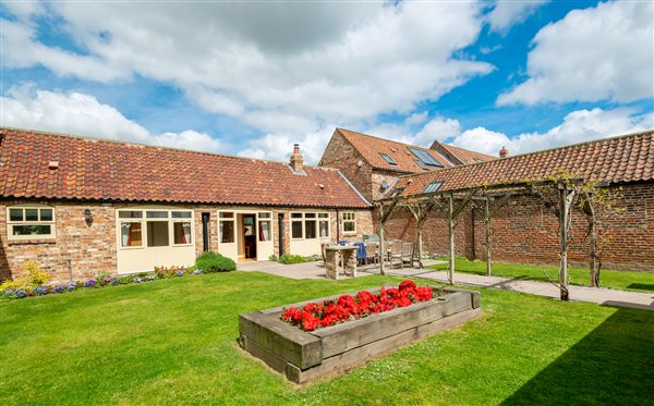 cottage garden with red flowers