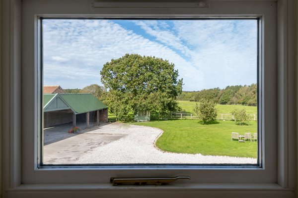 view of trees and fields