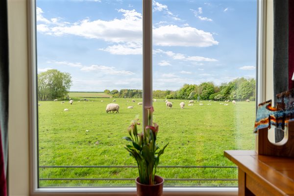 Lovely view across the fields from Cart House