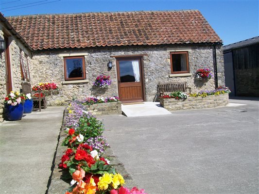 Barn annexes summer flowers