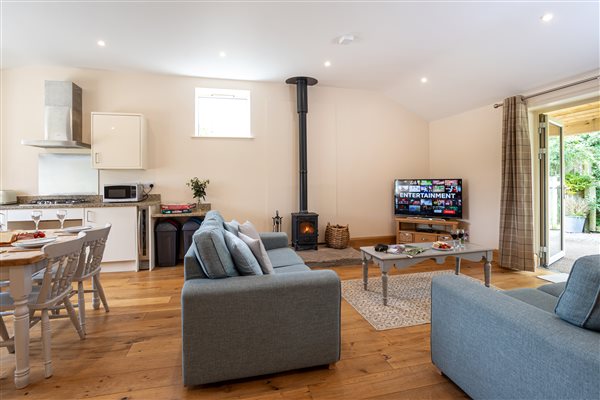 Seating area with Smart TV and woodburner 