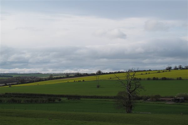 Fields Marshwood Farm Camping