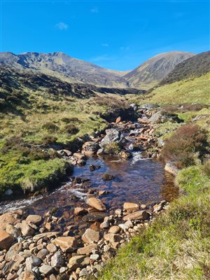 munro stream