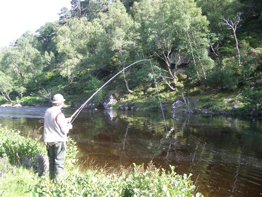 River Farrar Ross Pool