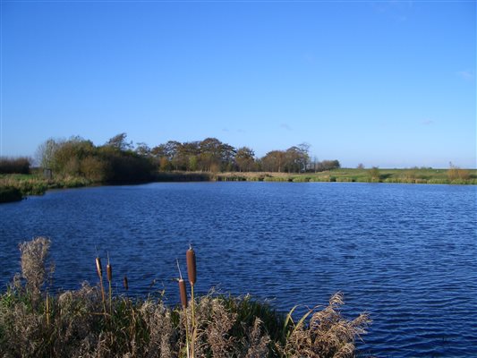 Fishing Lake 