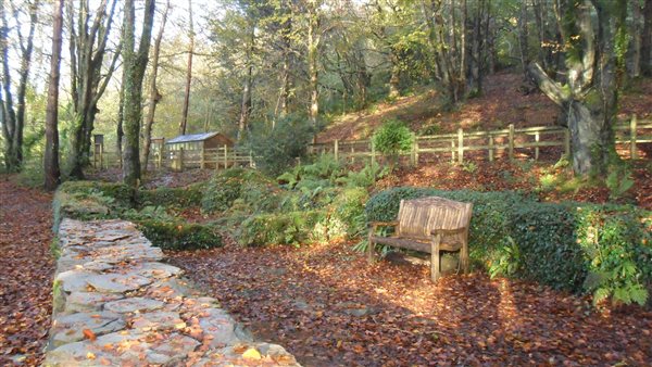 RSPB Chapel Wood , adjacent to our farm