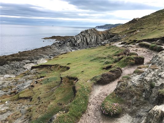 Nearby Cliff Path