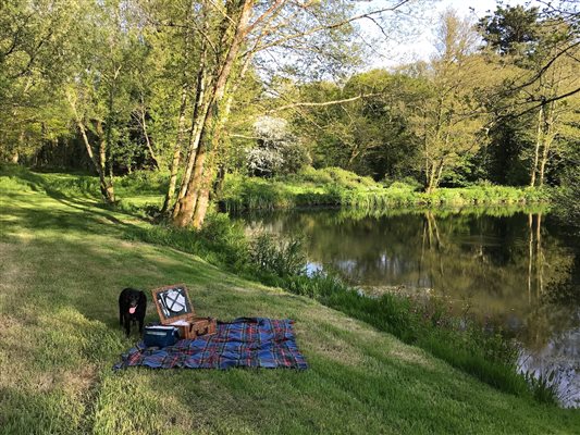 Dog picnic by our pond