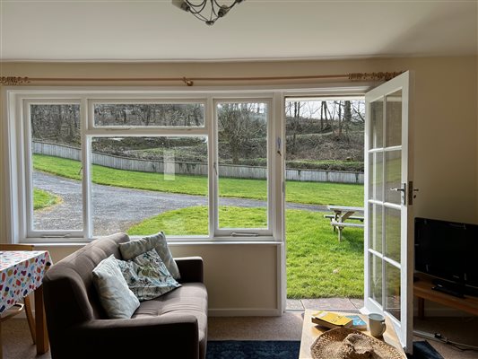 Looking out of the large window in Camellia