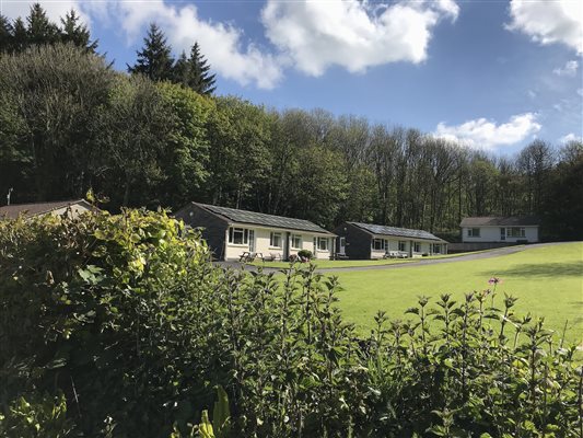 View of the cottages and woodland behind 