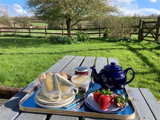 cream tea on the patio