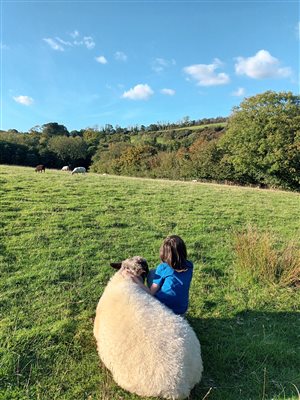 Lower Hearson relax and enjoy the views with our friendly sheep