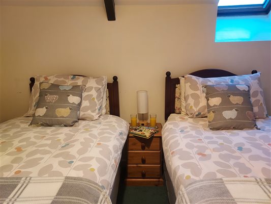 Annex twin bedroom