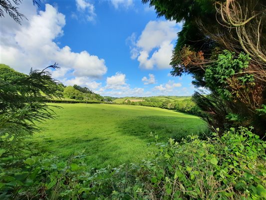 View of Devon countryside